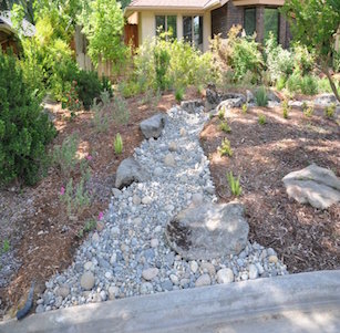 Dry Creek Beds